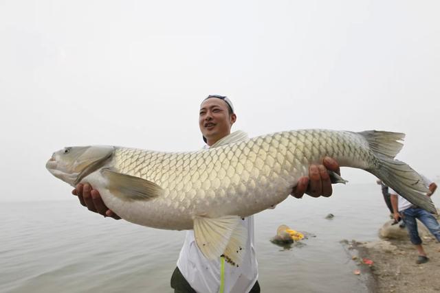 钓界黄晓明 野钓营中的非凡实力与魅力