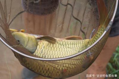 行者野钓营潘家口水库活动纪实 山水之间，寻一份野趣与宁静